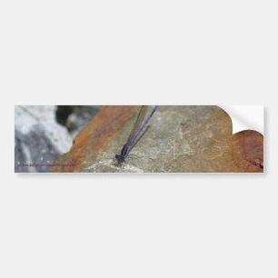 Damselfly Nature Bumper Sticker Car Art Bildekal