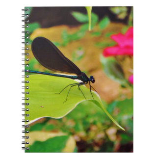 Damselfly och Ro Anteckningsbok Med Spiral