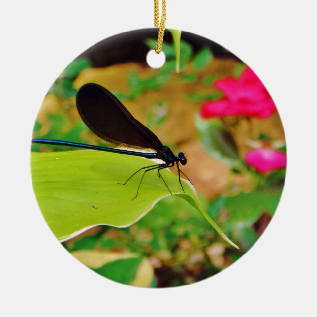 Damselfly och Ro Julgransprydnad Keramik (Framsidan)