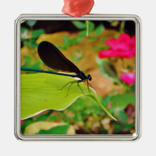 Damselfly och Ro Julgransprydnad Metall