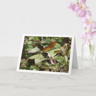 Damselfly Porträtt Card Kort