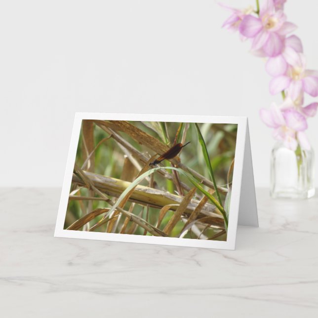 Damselfly Porträtt Card Kort (Orkide)
