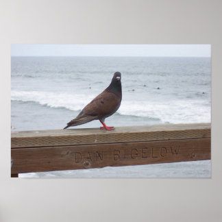 Dan Bigelow Poster