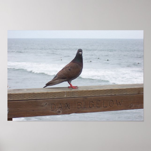 Dan Bigelow Poster (Framsidan)