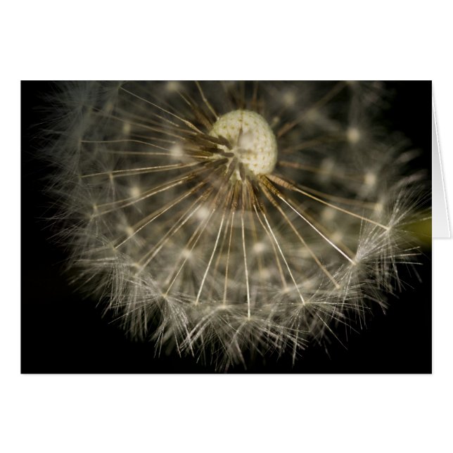 Dan D Lejont kort (Framsidan Horizontal)