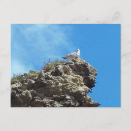 DANA POINT #3 POSTCARD VYKORT