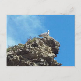 DANA POINT #3 POSTCARD VYKORT