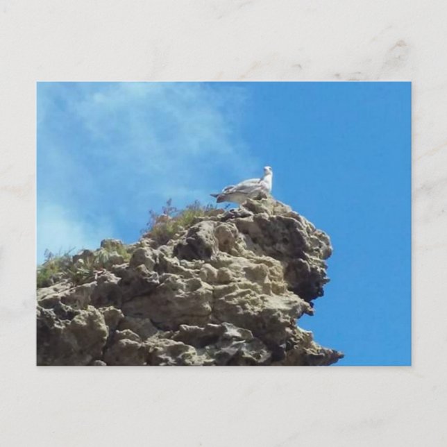 DANA POINT #3 POSTCARD VYKORT (Framsida)