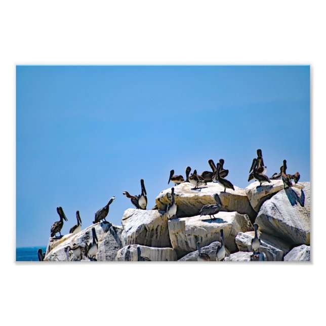 Dana Point Fototryck (Framsidan)