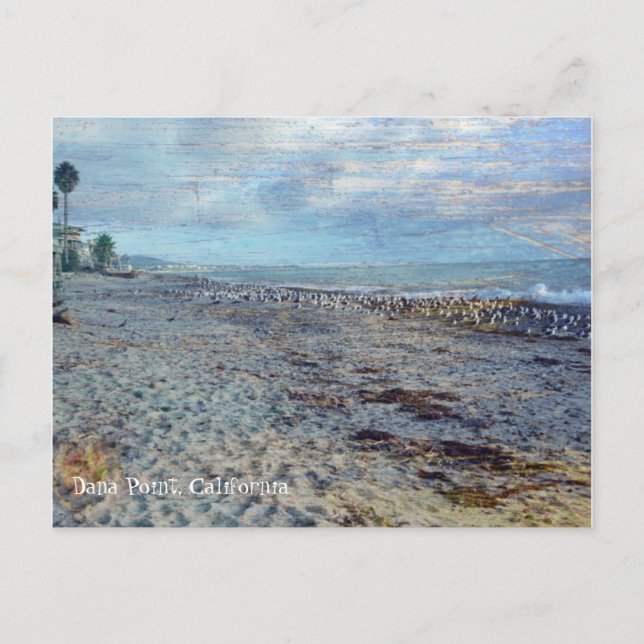 Dana Point, Kalifornien Vykort (Framsida)