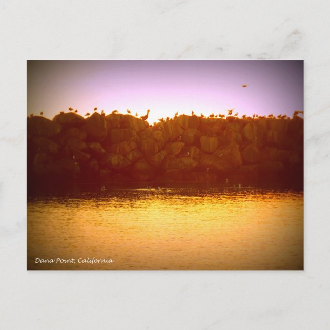 Dana Point Sunset Vykort (Framsida)