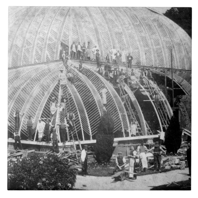 Danande reparerar till den underbara drivhuset på kakelplatta (Framsidan)