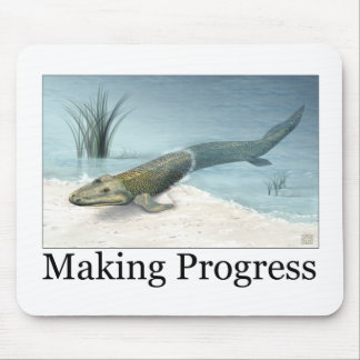 Danandeframsteg Musmatta