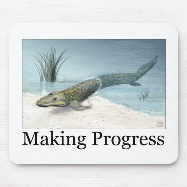 Danandeframsteg Musmatta (Framsidan)