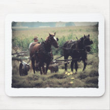 Danandehö med hästar