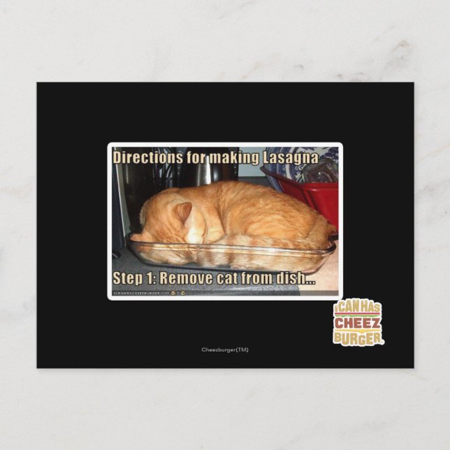 Danandelasagna Vykort (Framsida)