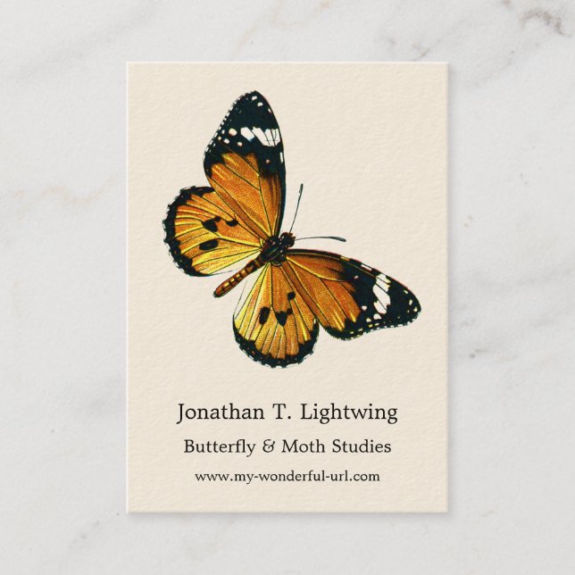 Danaus chrysippus - Plain Tiger eller African Quee Visitkort (Framsida)