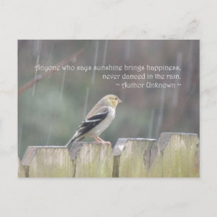 Dance in Rain Goldfinch Postcard Vykort