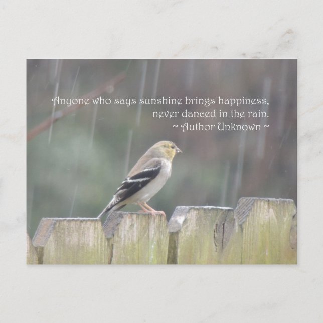Dance in Rain Goldfinch Postcard Vykort (Framsida)