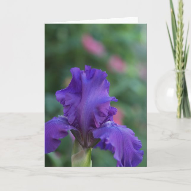 Dance of the Lila Iris Greeting Card Kort (Framsida)