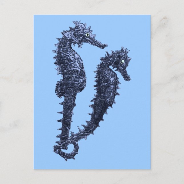 Dance of the Seahorse (Blue) Vykort (Framsida)