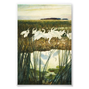 Dance of the WHoping Cranes by N. C. Wyeth Fototryck