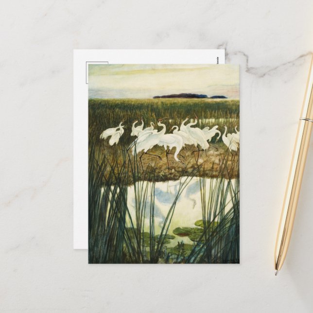 Dance of the WHoping Cranes by N. C. Wyeth Helg Vykort (Fram/Back In Situ)