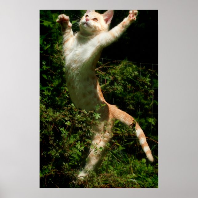 Dance Poster (Framsidan)