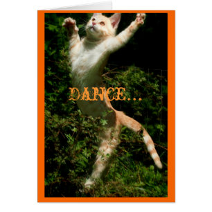 Dance som ingen är tittar, Dance... Hälsningskort