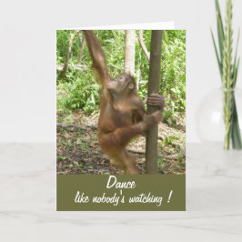 Dance som ingen tittar på Orangutan i Borneo Kort