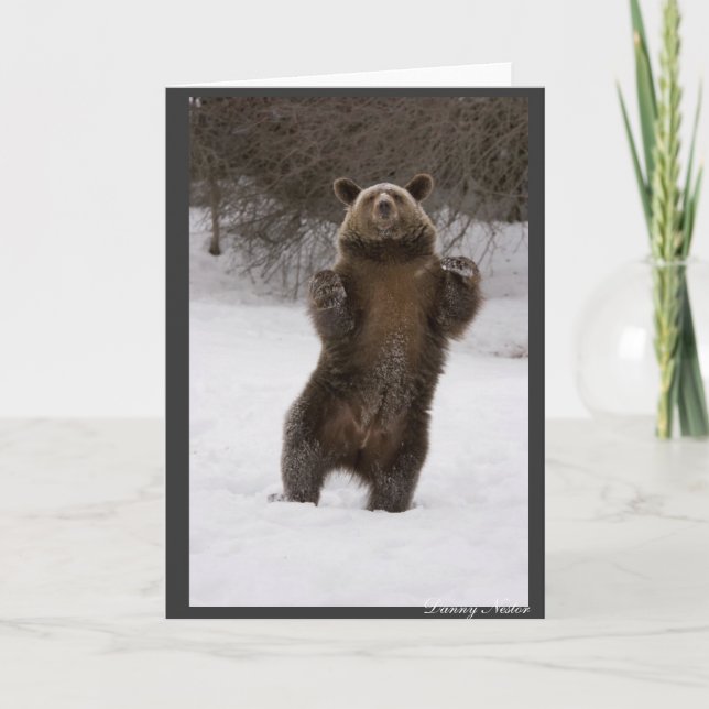 Dancing Bear Kort (Framsida)