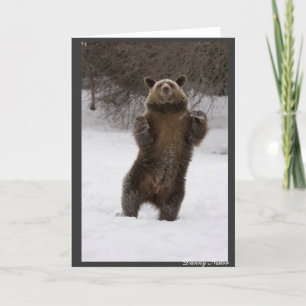 Dancing Bear Kort