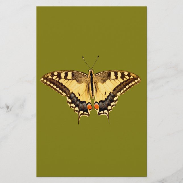 Dancing Butterfly (Framsida)