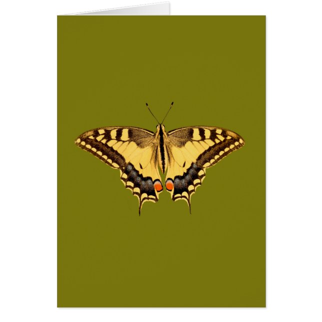 Dancing Butterfly Hälsningskort (Framsidan)