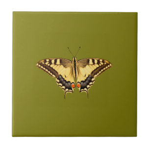 Dancing Butterfly Kakelplatta