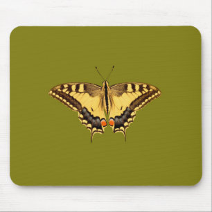 Dancing Butterfly Musmatta