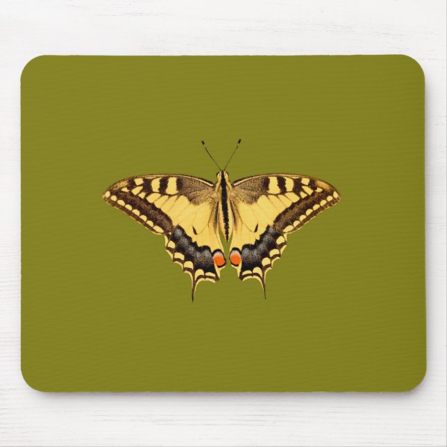 Dancing Butterfly Musmatta (Framsidan)