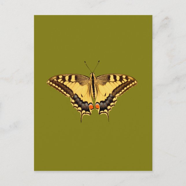 Dancing Butterfly Vykort (Framsida)