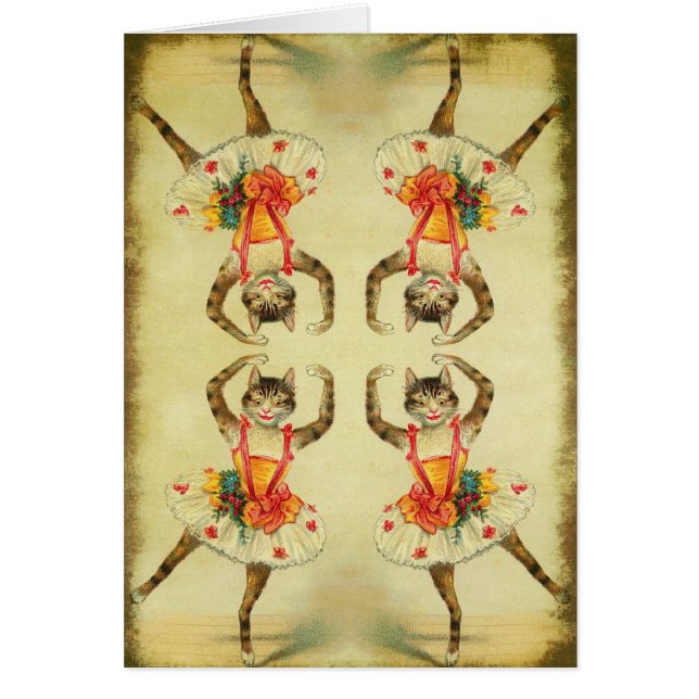 Dancing Cat Hälsningskort (Framsidan)