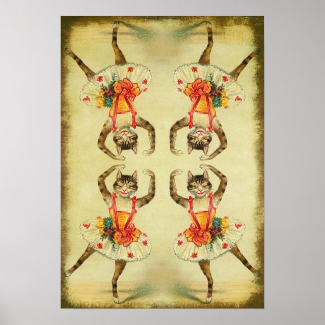 Dancing Cat Poster (Framsidan)