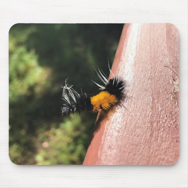 Dancing Caterpelare Musmatta (Framsidan)