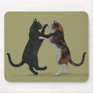 Dancing Cats Musmatta