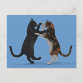 Dancing Cats Vykort