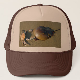 Dancing Crabs Hat Keps
