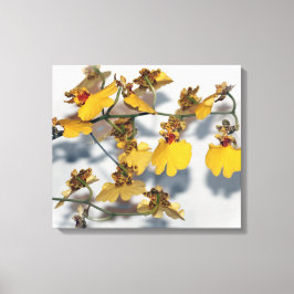 Dancing Dam Gult Oncidium Orchids Canvastryck