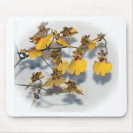 Dancing Dam Gult Oncidium Orchids Musmatta
