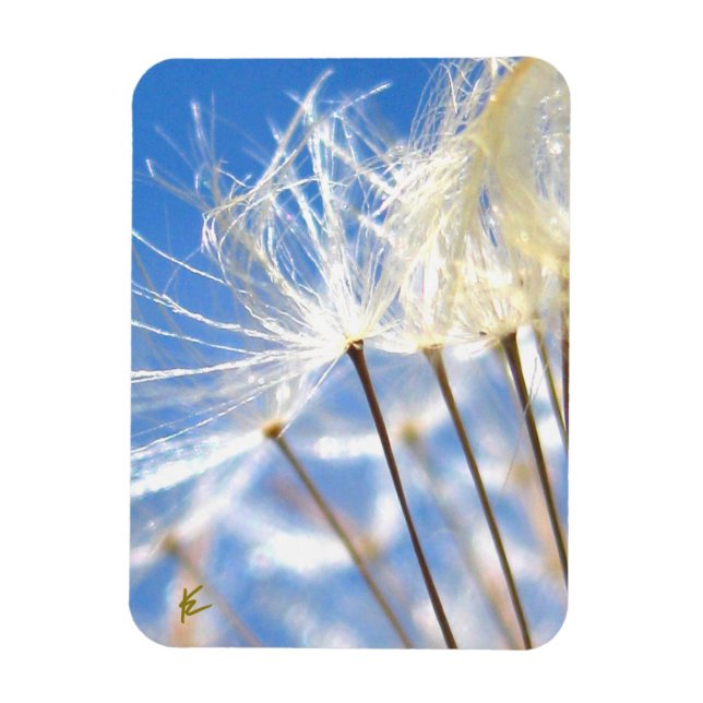 Dancing Dandelion Poof, Happy, Joyful, Nature Magnet (Vertikal)