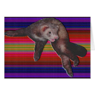 Dancing Ferret Hälsningskort