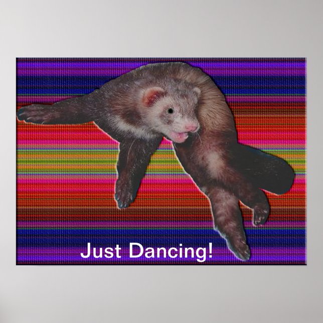 Dancing Ferret Poster (Framsidan)