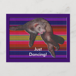 Dancing Ferret Vykort